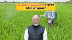 Fasal Bima Yojana 2025: बीमा कराने की अवधि बढ़ी, अब किसानों को सिर्फ 2% प्रीमियम में मिलेगा लाखों का बीमा कवर