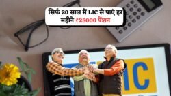 LIC का पेंशन मास्टर प्लान – 30 की उम्र में शुरू करें और 50 पर हर महीने ₹25,000 पाएं, जानिए पूरा फॉर्मूला